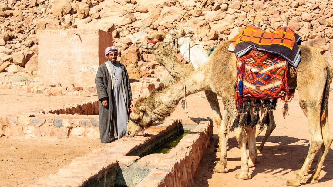 wadi rum camel 2 days