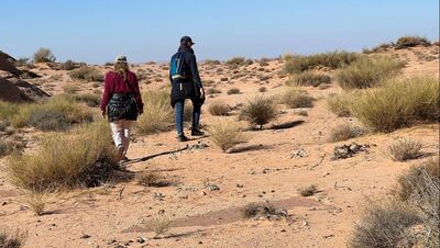 hiking trip wadi rum