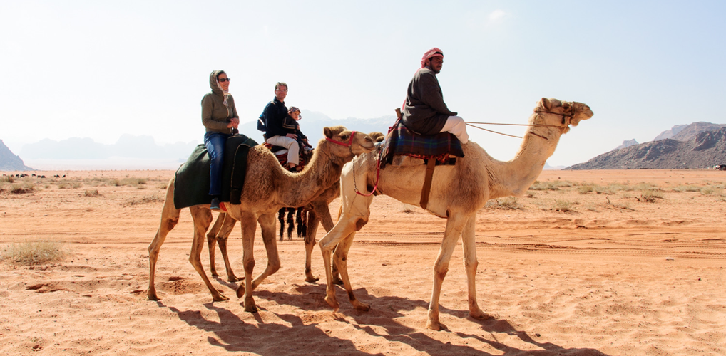 camel trips wadi rum